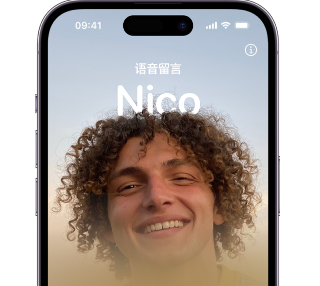 泰来苹果15服务站分享iPhone15实时语音留言开启方法 