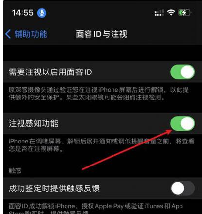 泰来苹果14维修网点分享iPhone14注视感知功能有什么用 